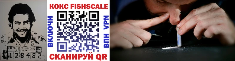 где найти   Кудымкар  COCAIN Fish Scale 