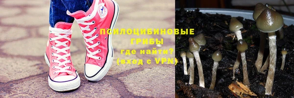 твердый Кулебаки