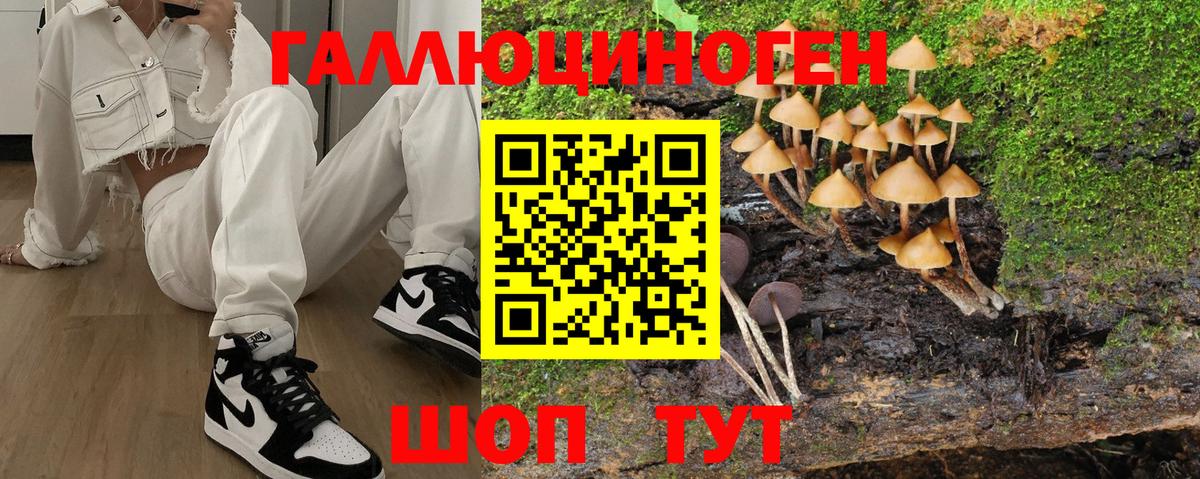 Кудымкар  Псилоцибиновые грибы мицелий  цена наркотик  Вход с VPN 