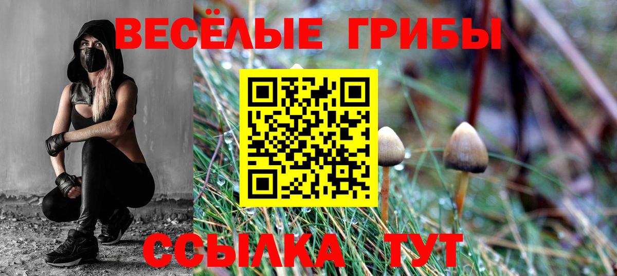 Псилоцибиновые грибы Psilocybine cubensis Кудымкар