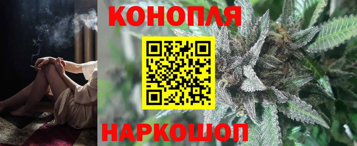 Кудымкар  Бошки Шишки индика  Вход с VPN  Конопля Bruce Banner  Канабис семена  Канабис индика 